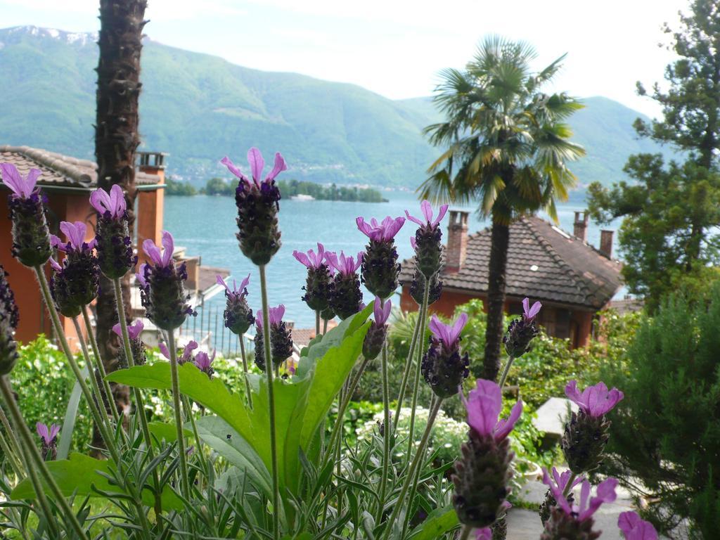 Ferienwohnung Casa Eva Ronco sopra Ascona Exterior foto